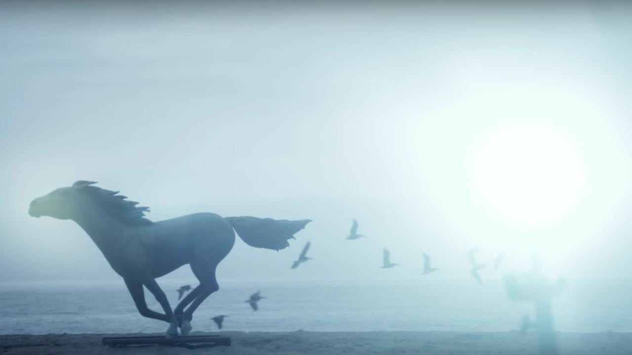 Chelsea Wolfe: Feral Love [MV]