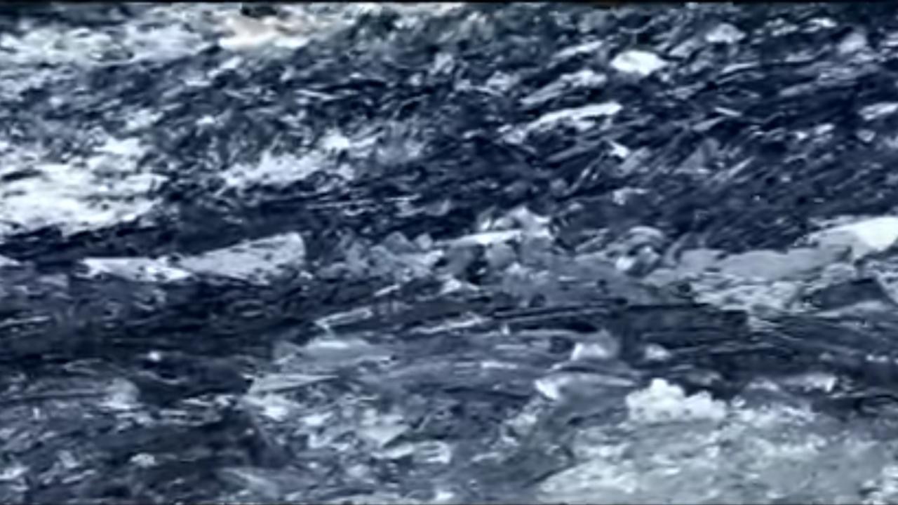 Foals: Spanish Sahara [MV]
