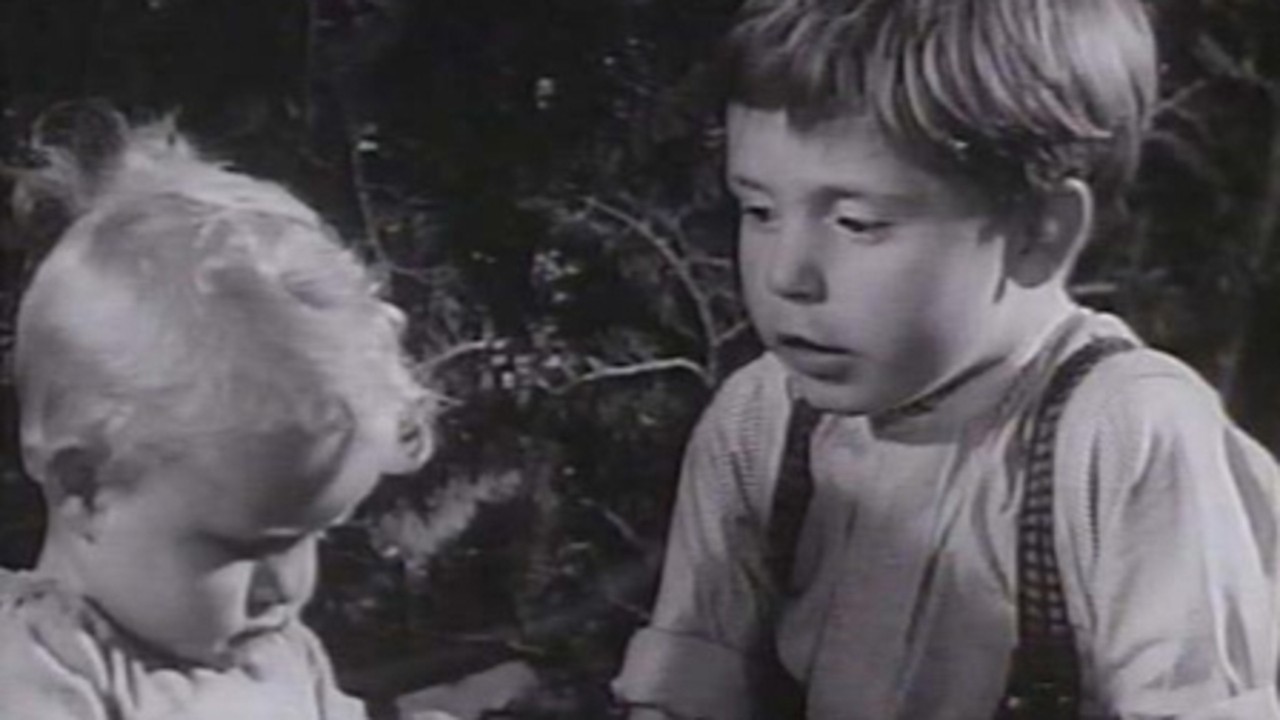 The Little Kidnappers