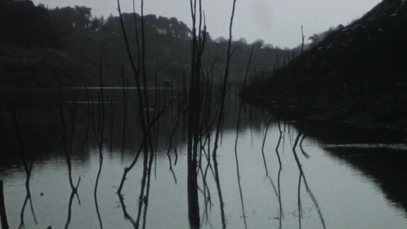 Les Eaux dormantes (2016) MUBI