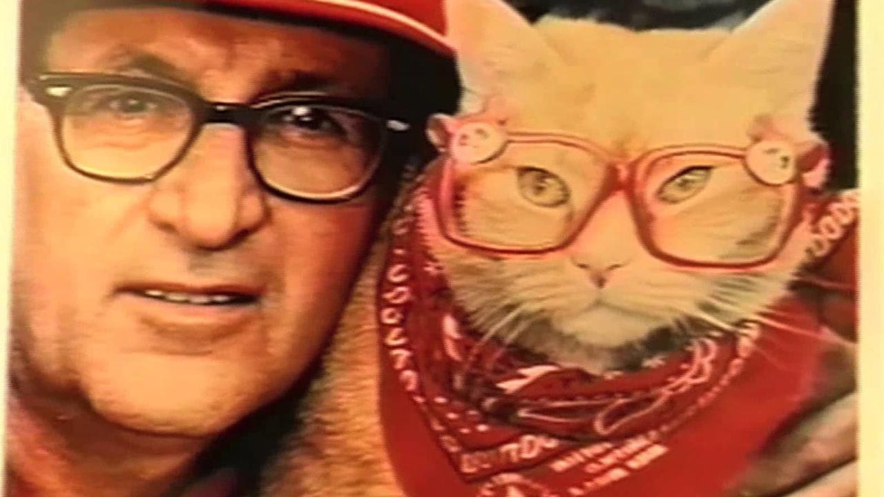 Frank and the Wondercat