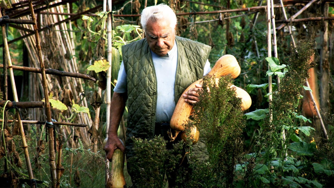Image du film Le Potager de mon grand-père