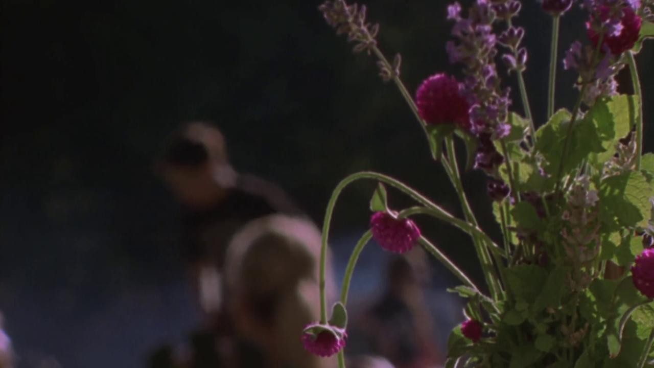 Summer Stages 2016 Mubi