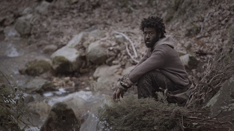 The Last of Us