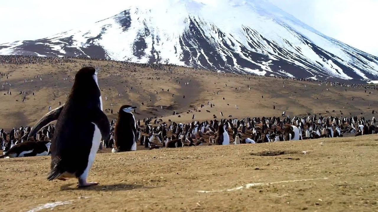 Planet Earth II
