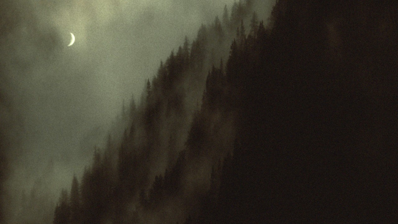 Image du film Sleep Has Her House