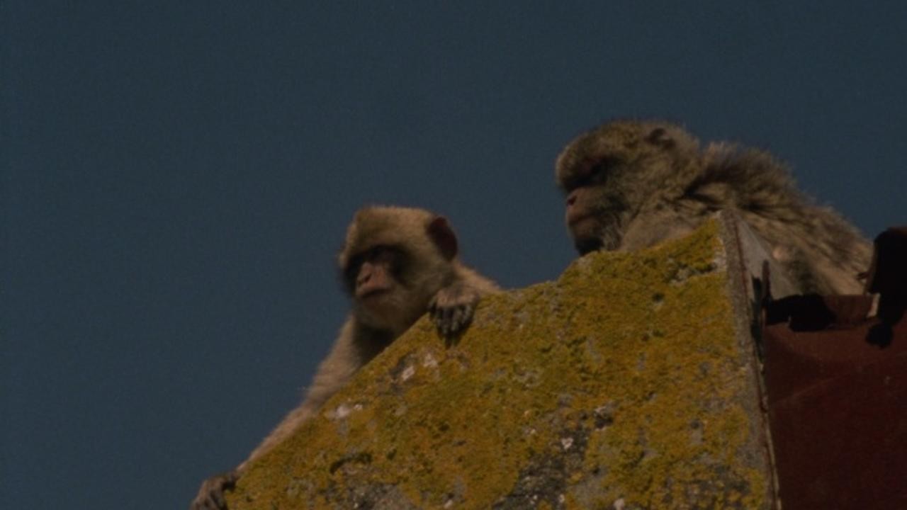 Gibraltar