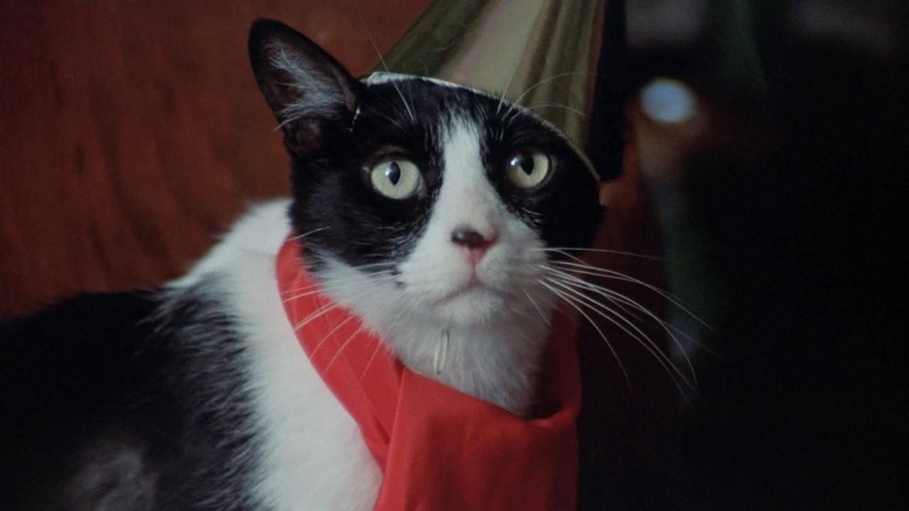 Image du film La sentinelle des maudits