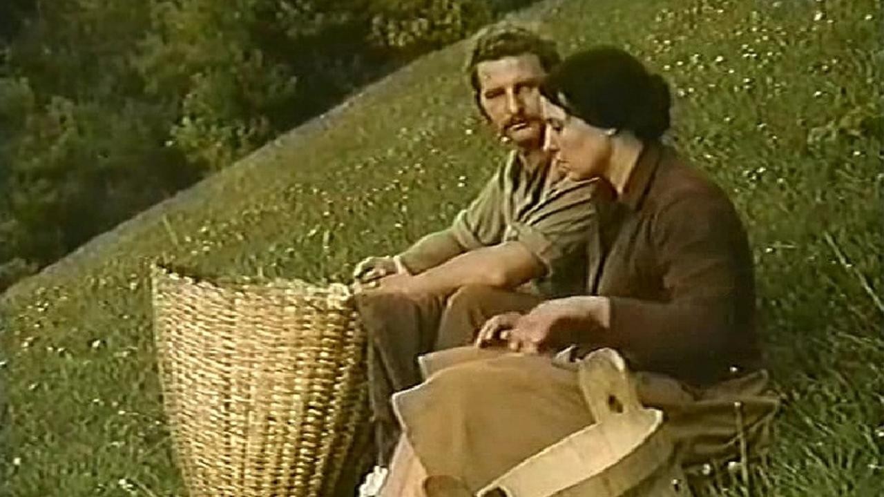 Love on the Furrows