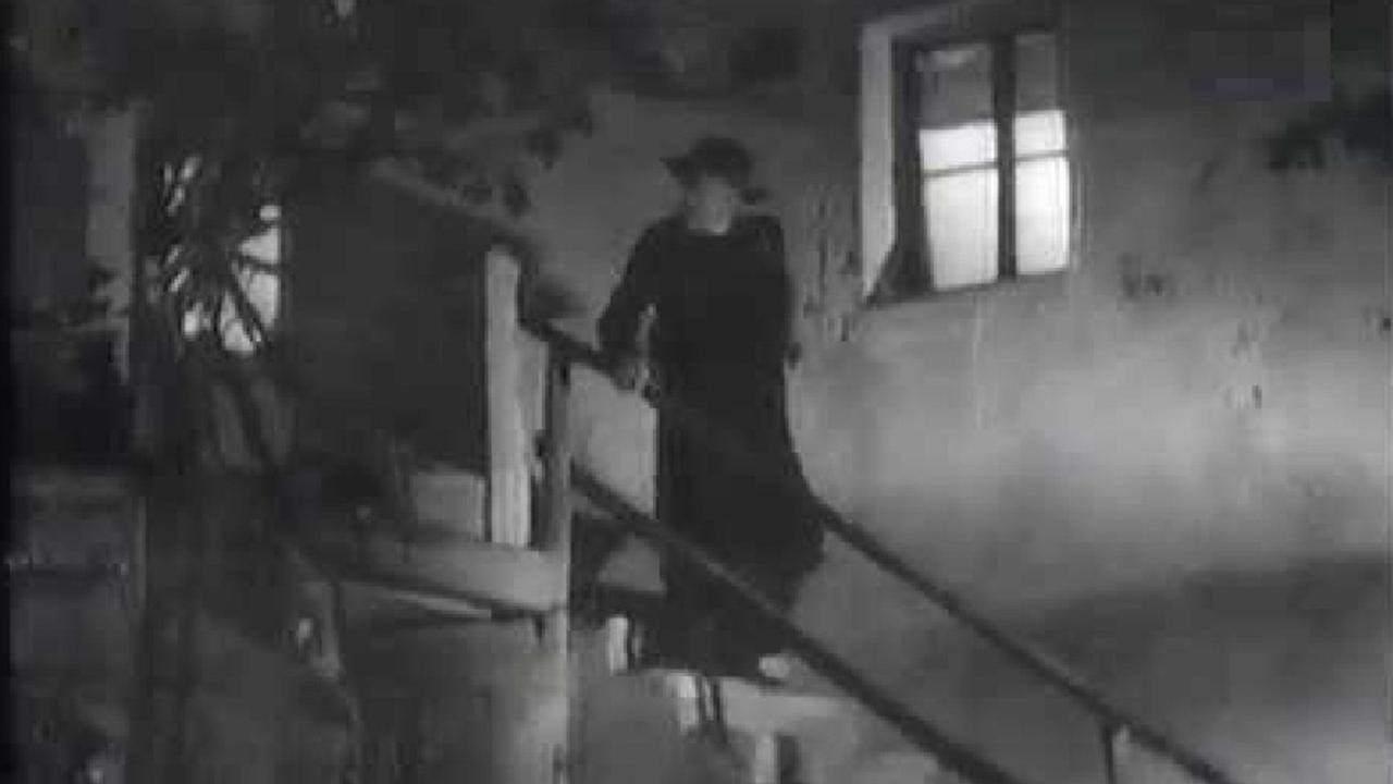 The Vicar Martin Cedermac