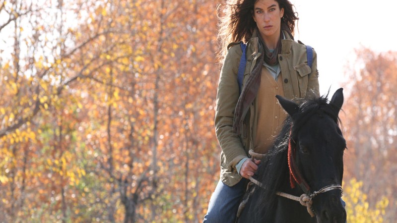 Black Horse Memories