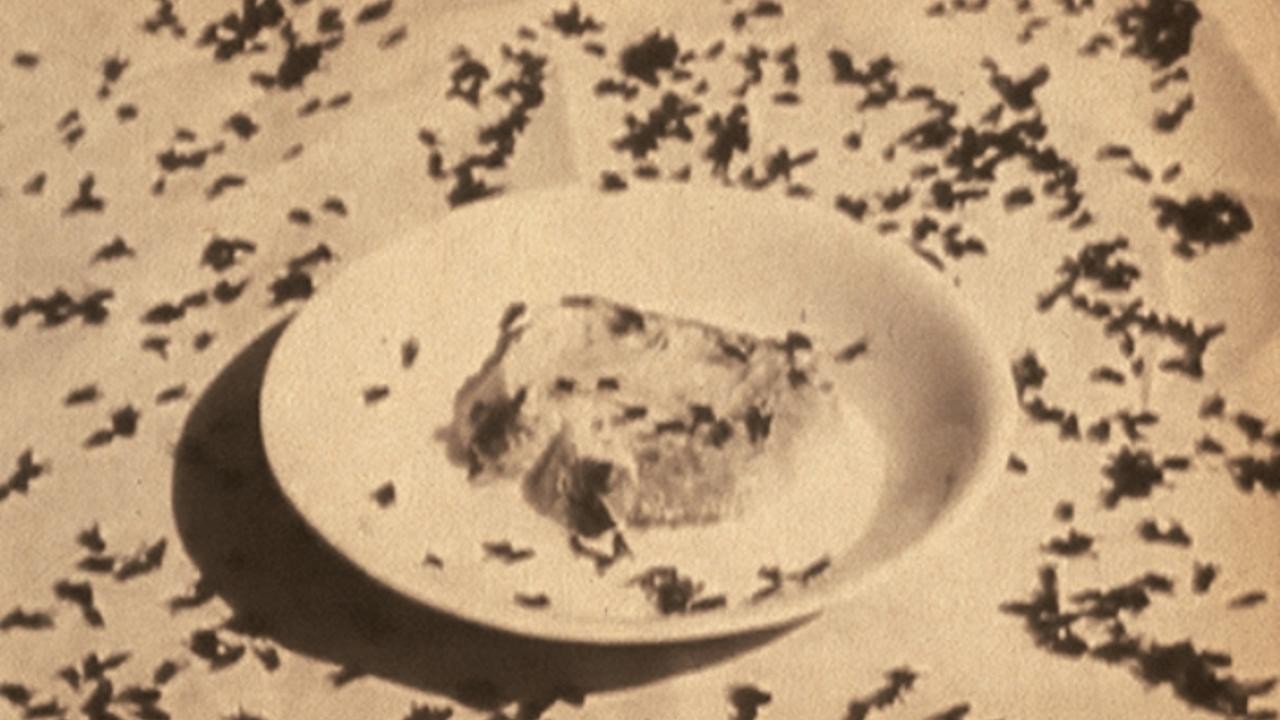 Image du film Cuatreros