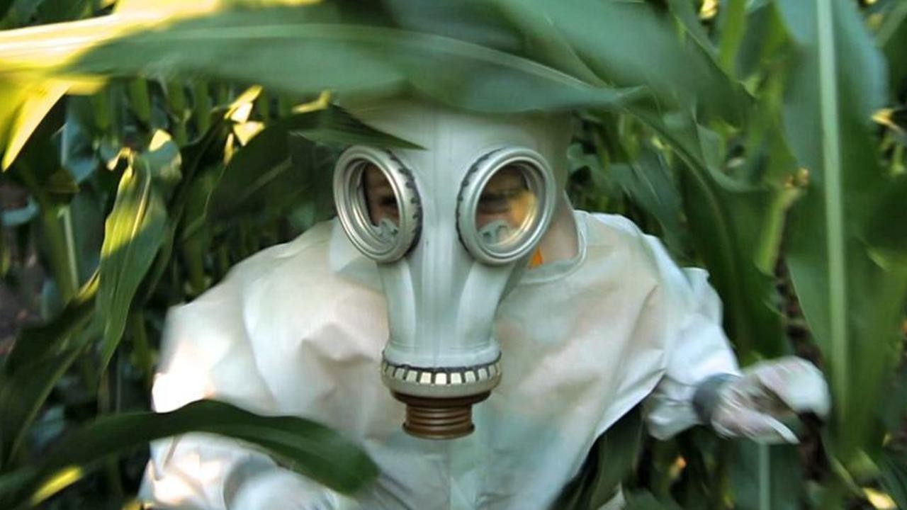 Gmo Omg