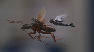 Ant-Man and the Wasp
