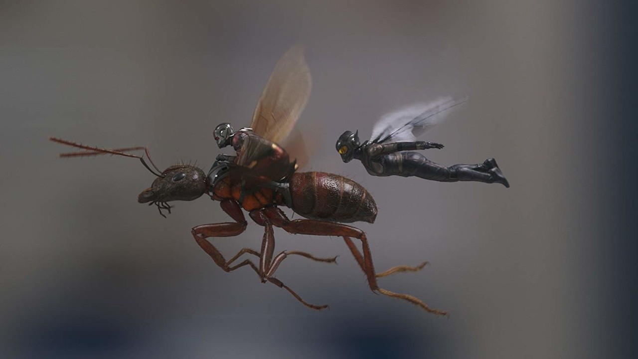 Image du film Ant-Man et la Guêpe