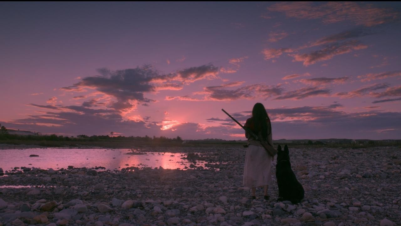 Birdshot