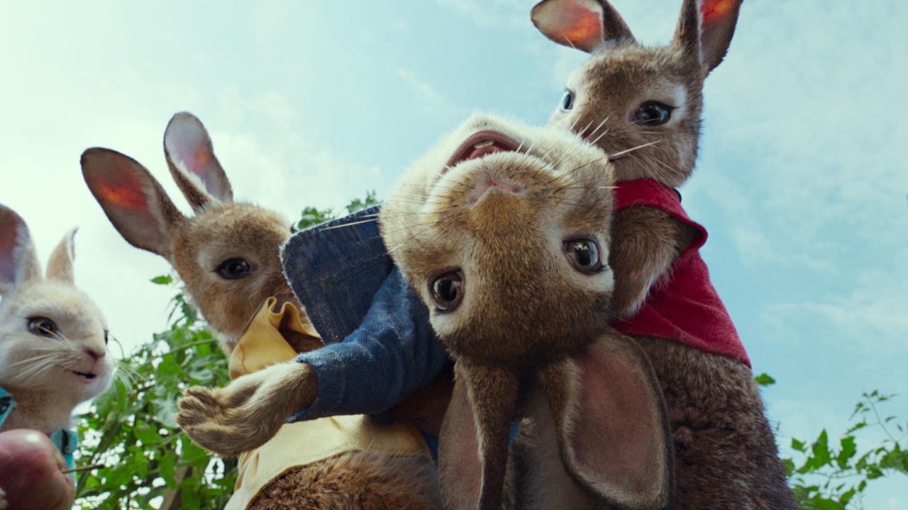 Image du film Pierre Lapin