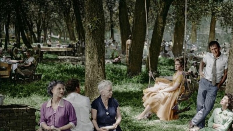 Picnic