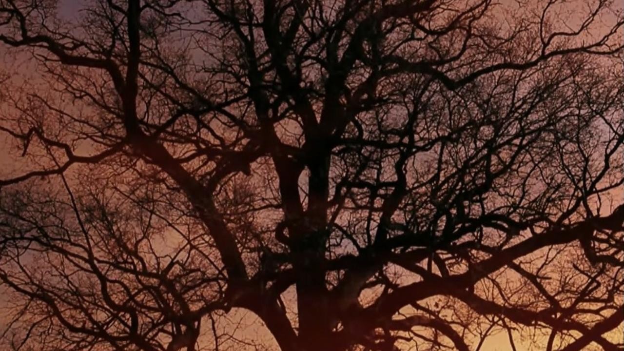 La deuxieme nuit