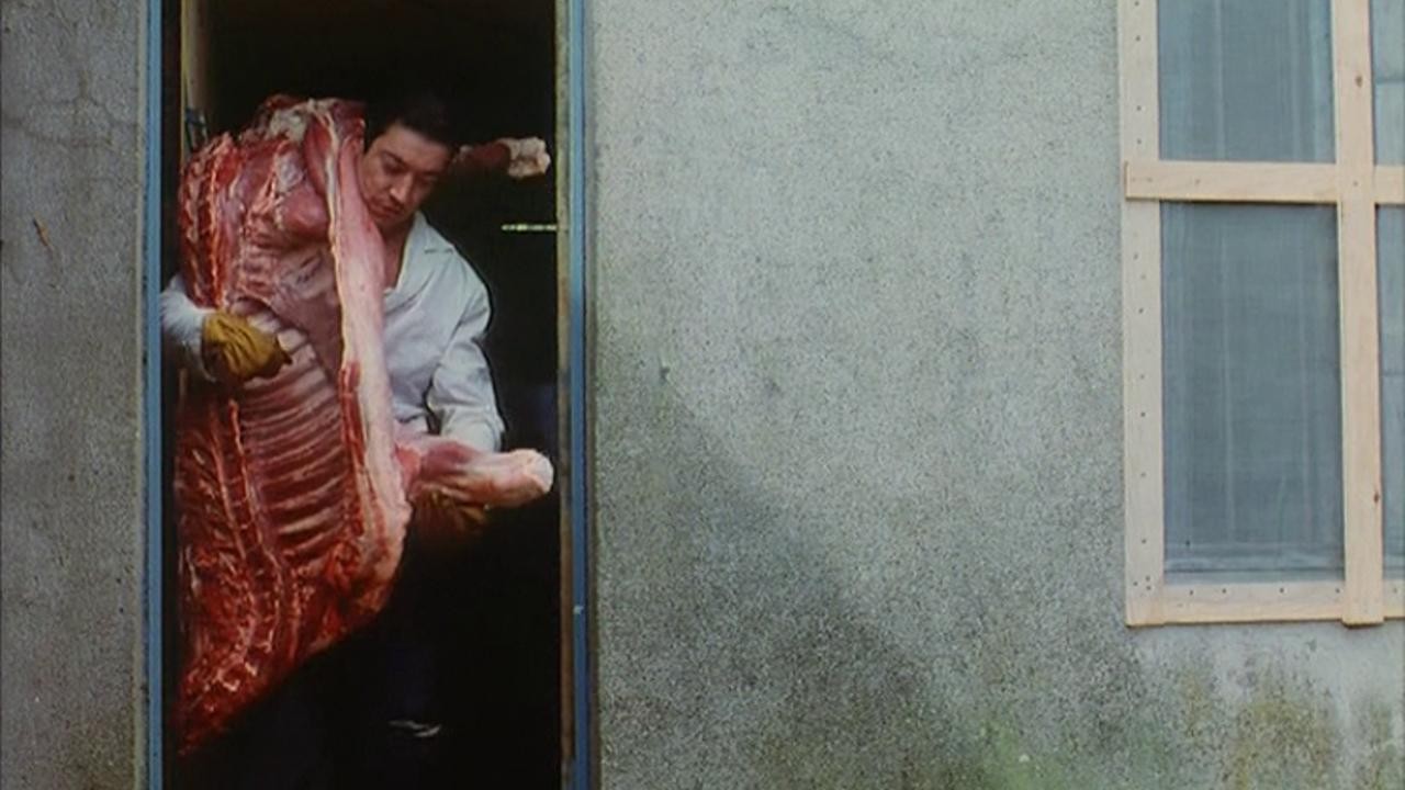 The Miracle of Meat