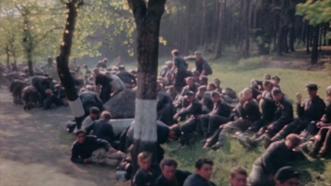 1945: The Savage Peace
