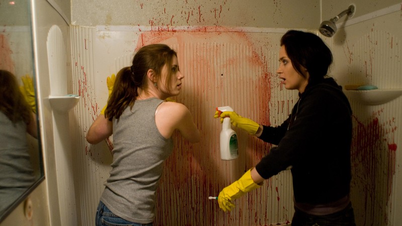 Sunshine Cleaning