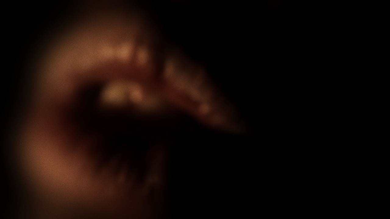 Somniloquies