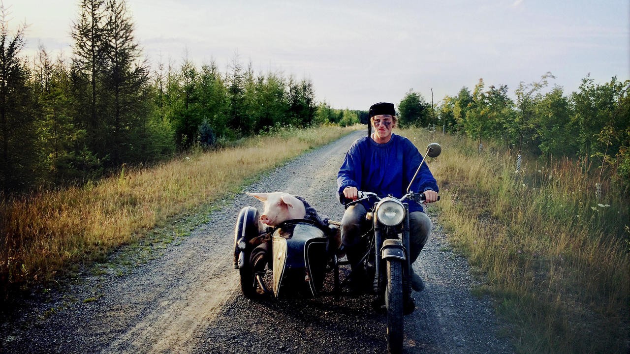 Image du film The last pig
