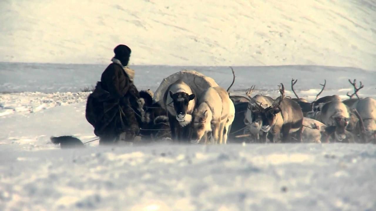 Image du film The Tundra Book. A Tale of Vukvukai, the Little Rock