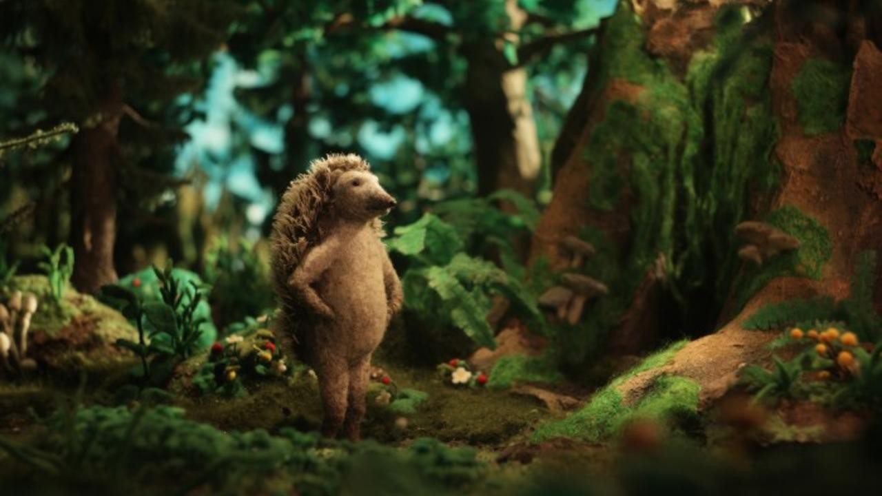 Hedgehog's Home