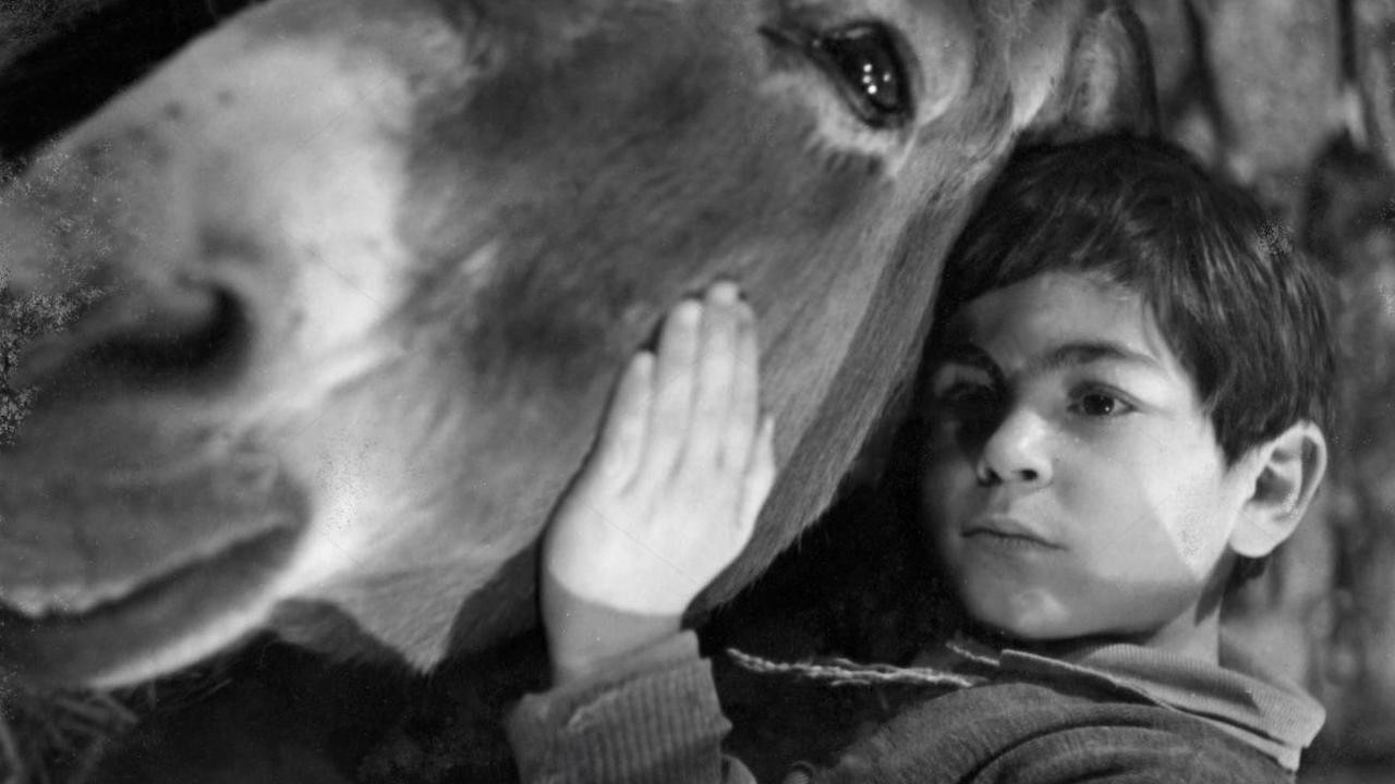 Peppino and Violetta