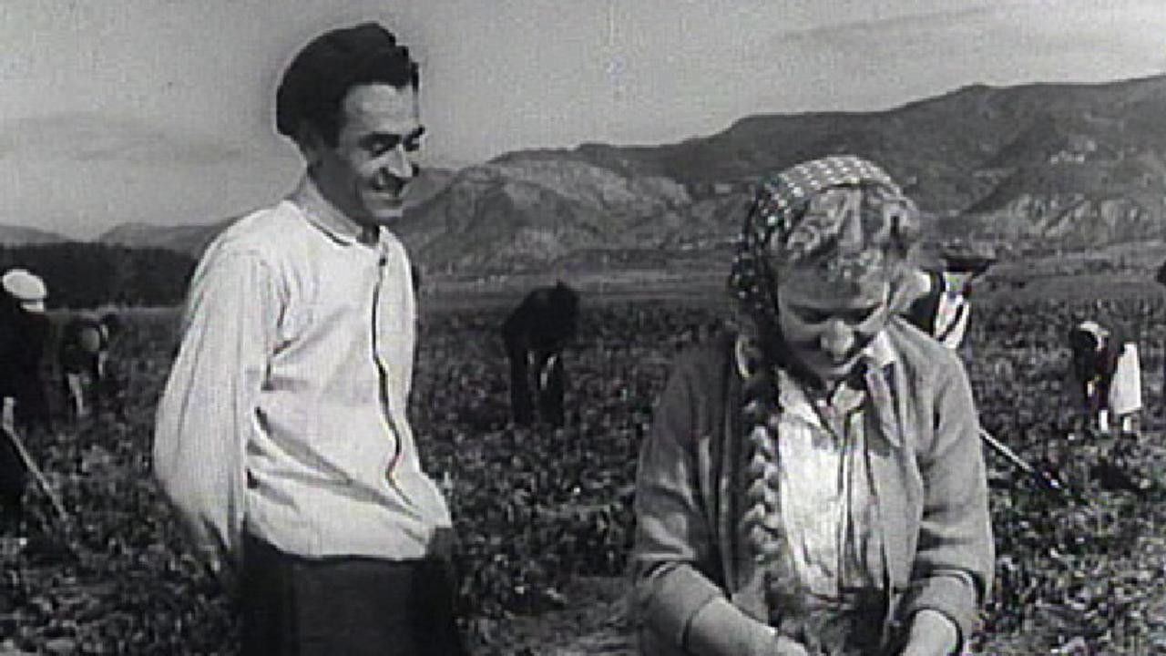 Image du film Tana