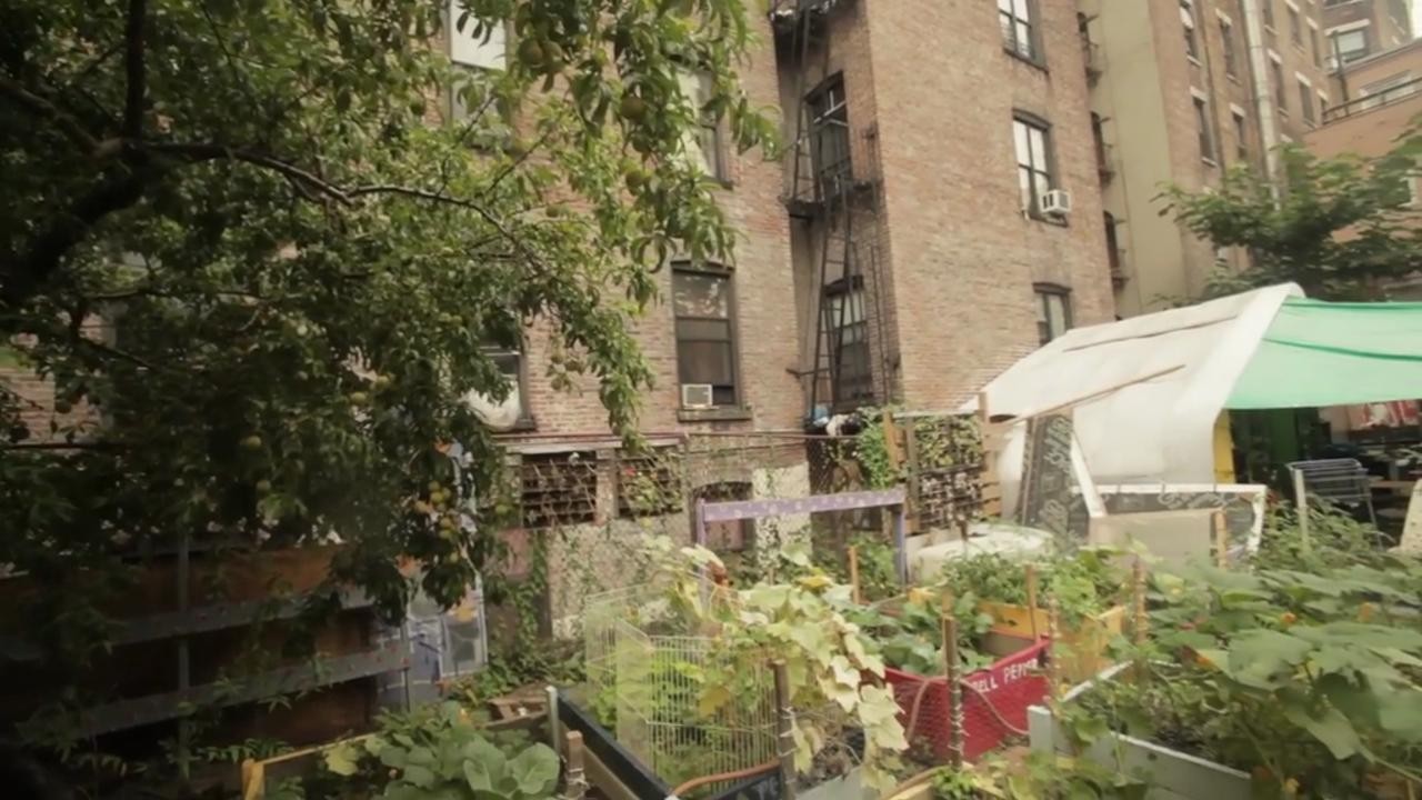 Inhabit: A Permaculture Perspective