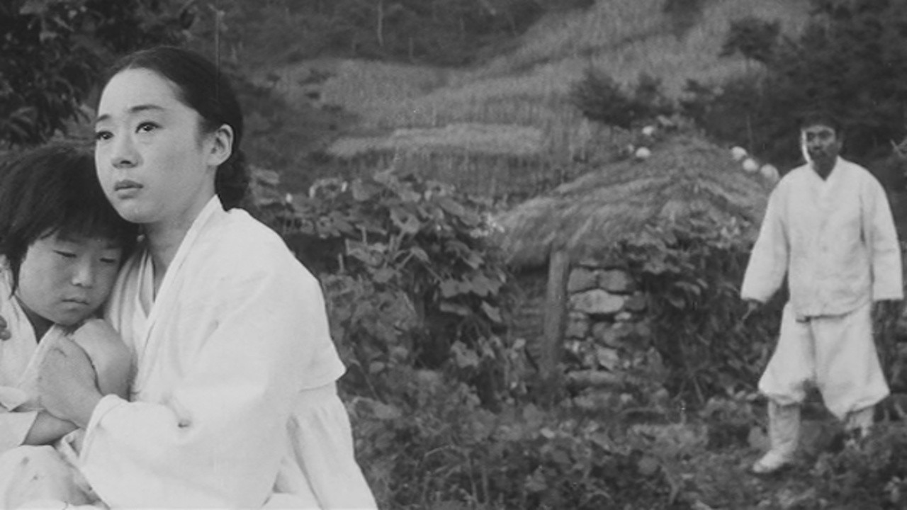 When the Buckwheat Blooms (1967) MUBI