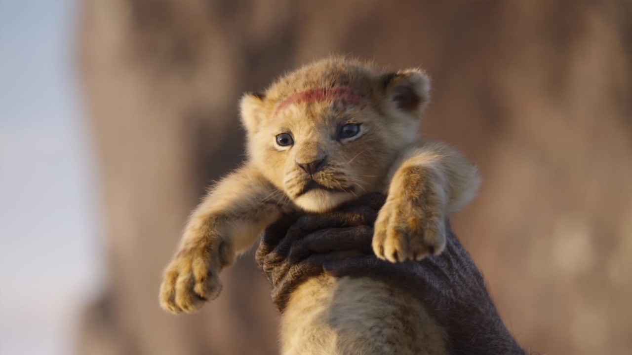 Image du film Le Roi Lion