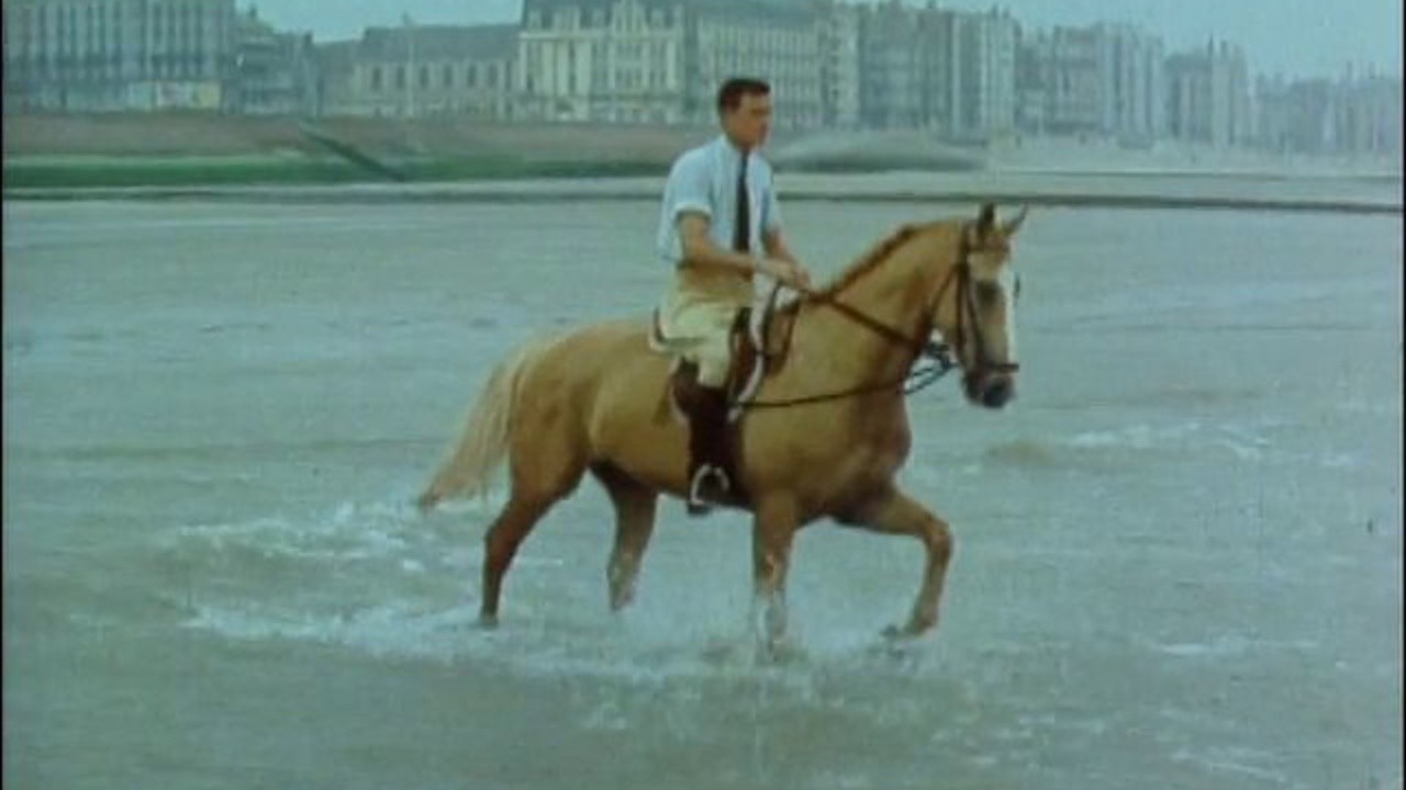 The Horse with the Flying Tail