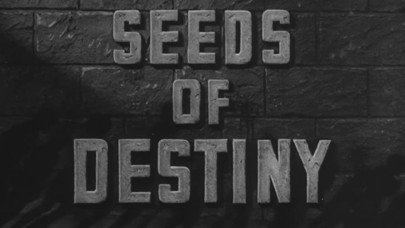 Seeds of Destiny