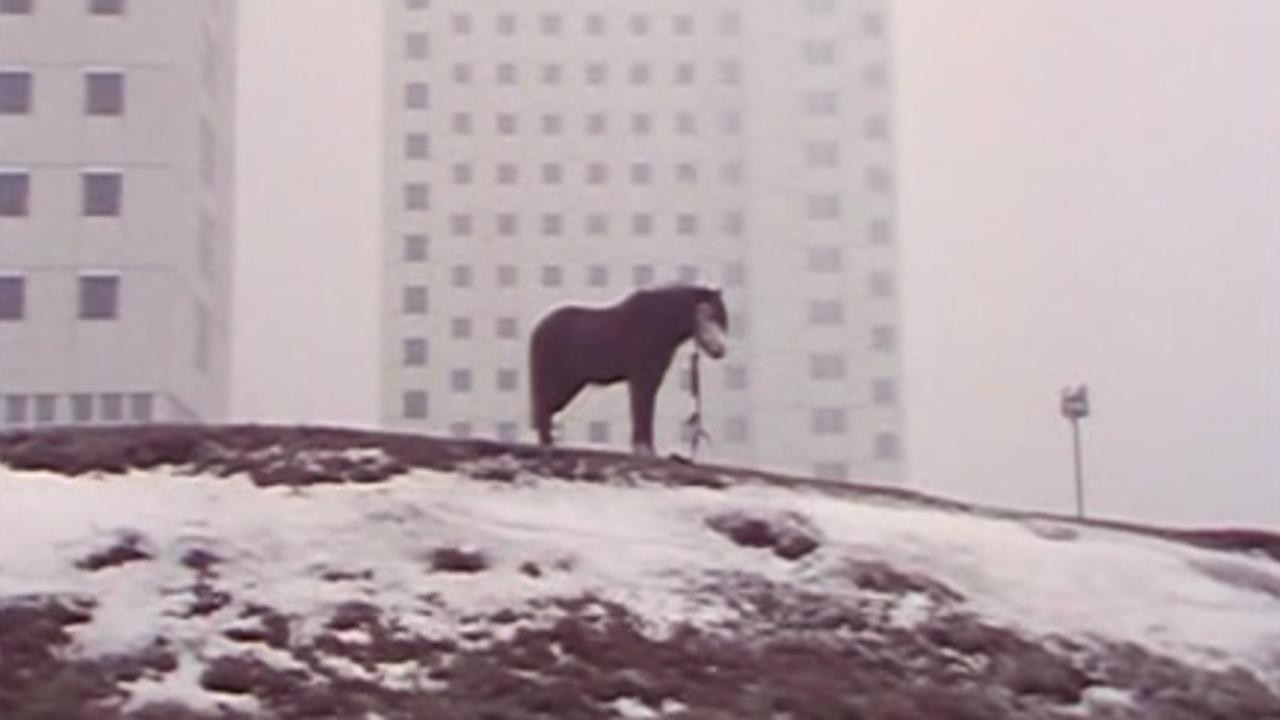 Image du film De meester en de Reus