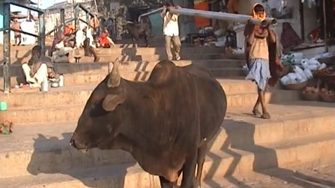 La Sindrome di Varanasi