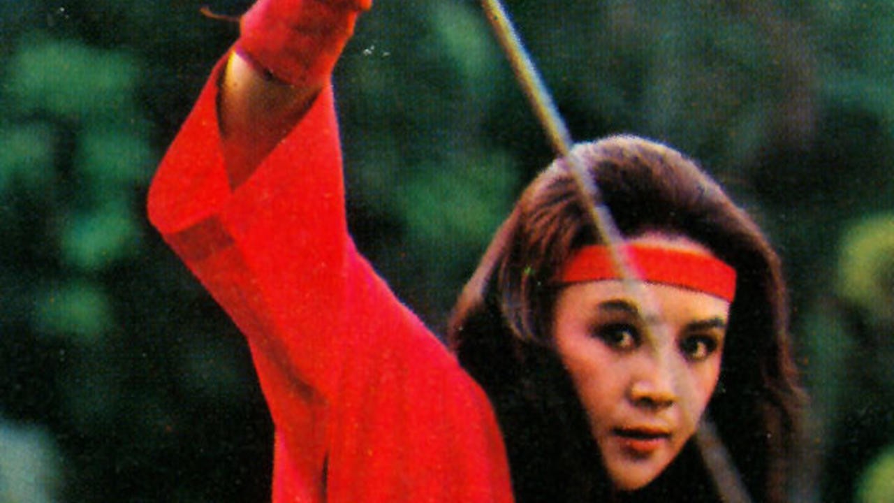 Challenge of the Lady Ninja