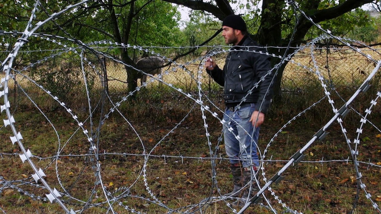 I Didn't Cross the Border, the Border Crossed Me