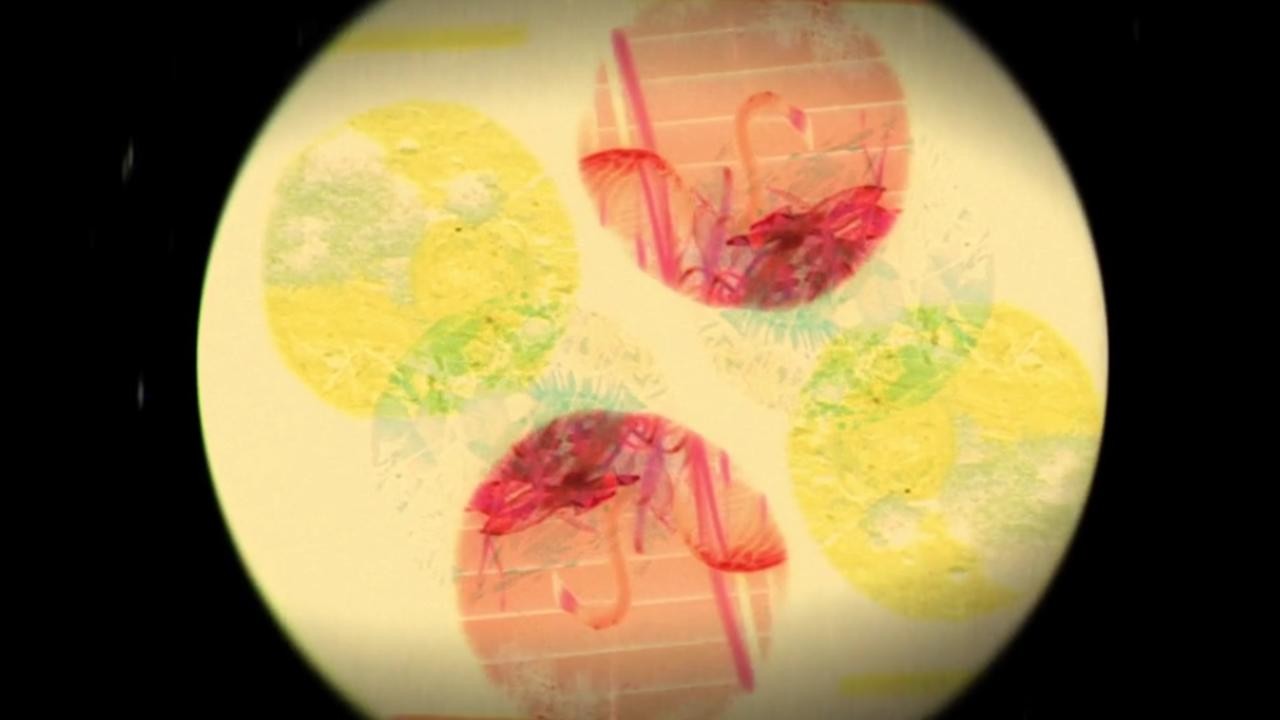 Beasts in the Garden (2015) | MUBI