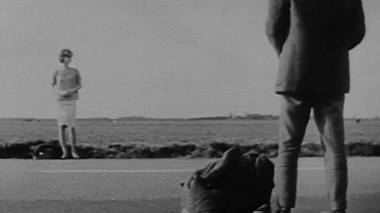 The Hitchhikers