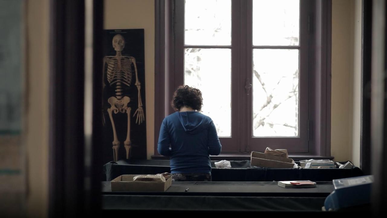The Memory of the Bones