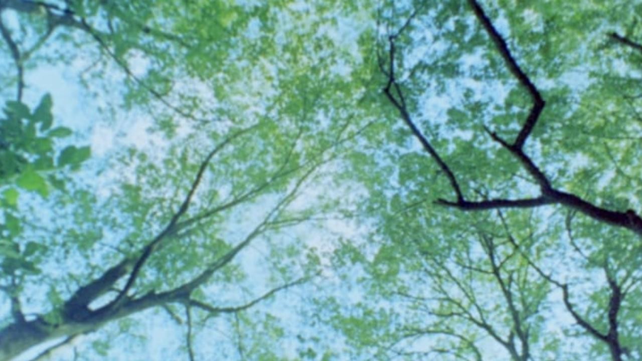 Urano