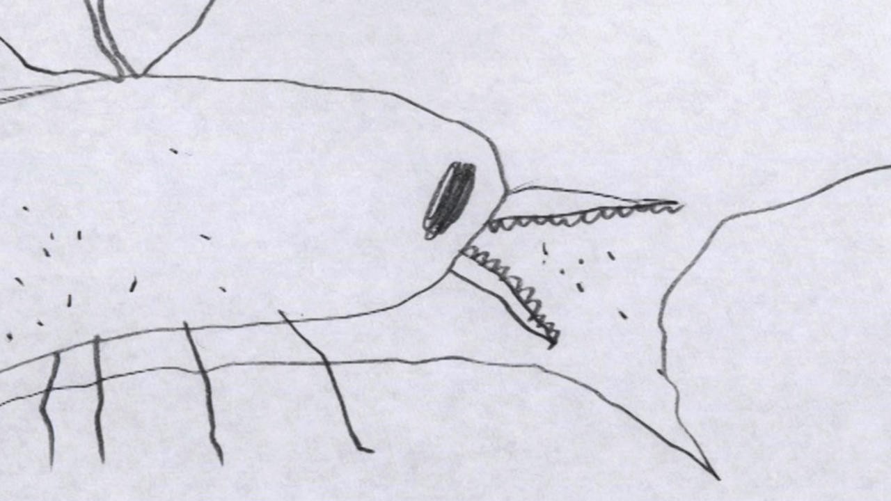 Insect Bite (2016) | MUBI