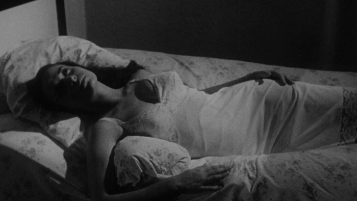 The Nest of the Cuckoo Birds