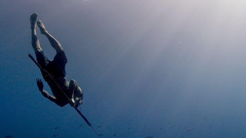 Jago: a life underwater