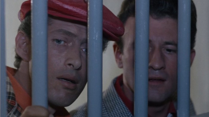 Cottonpickin' Chickenpickers