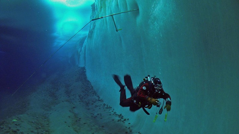 Encounters at the End of the World (2007) | MUBI